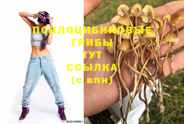 гашиш Алексин
