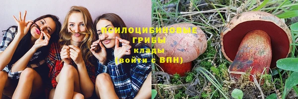 spice Армянск